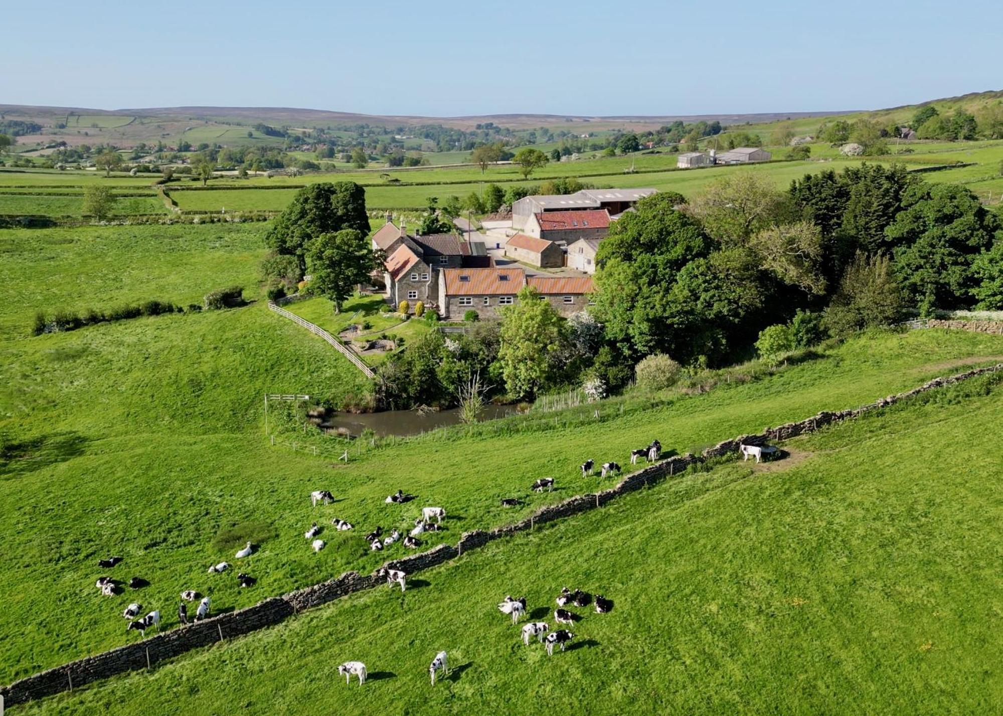 Church House Farm Danby Exterior foto